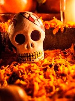 Día de muertos: ¡los muertos de AMLO!