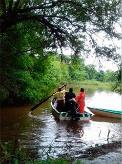 Urge atención a los damnificados de Chiapas