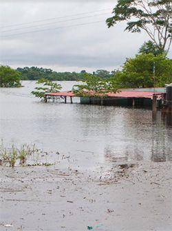 Las comadres se pelean y el pueblo tabasqueño sufre mucho más