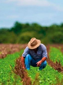 ¿A quién beneficia la lucha de Antorcha por empleos bien pagados? (Segunda parte)