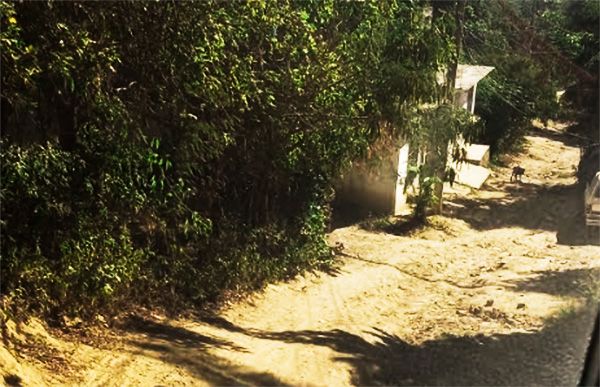 Rehabilitación de calle, exigen vecinos de la colonia Jacarandas