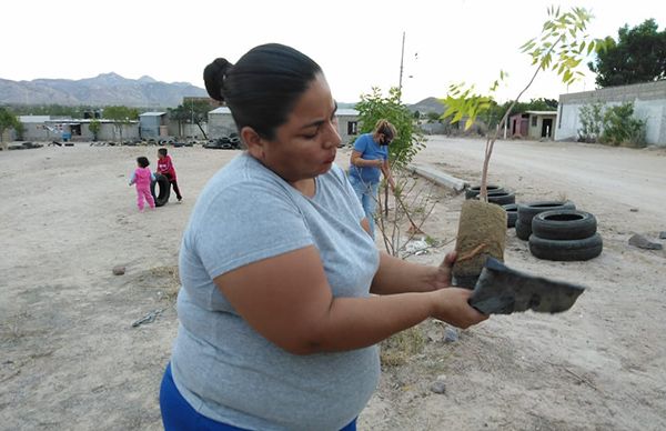 Organizan jornada de limpieza en Villas de Guadalupe