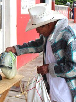 Tabasco: ante el olvido del gobierno, el pueblo solidario