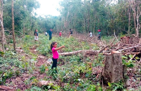 Antorcha promueve trabajo comunitario y solidaridad en Tulum