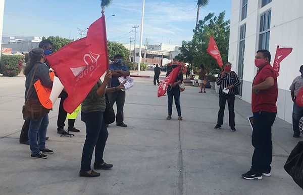 Las verdaderas preocupaciones de los presidentes municipales morenistas de La Paz y Los Cabos