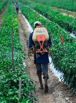 Productores de Arista, en el olvido