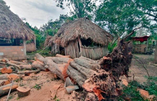 Alcaldesa de Dzitas, Yucatán niega atención a damnificados