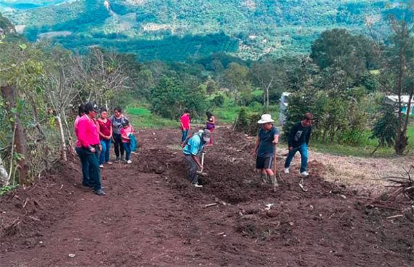 Antorchistas realizan faena para mantener limpio y seguro su barrio