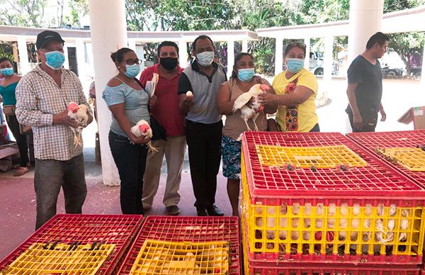 Entregan UNEFA y Antorcha gallinas de postura a colonos de Ometepec