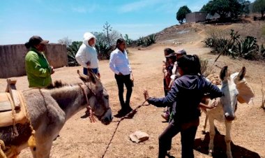 La miseria se apodera de Epazotes Grandes, Querétaro