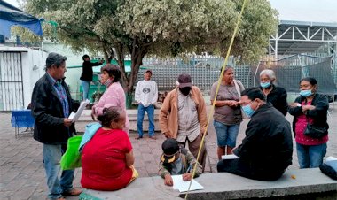 Productores de mango sufren por clima atípico en Nayarit; solicitan seguro catastrófico