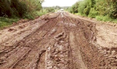 Entre calles sin pavimentar e inundadas, viven familias de Mante