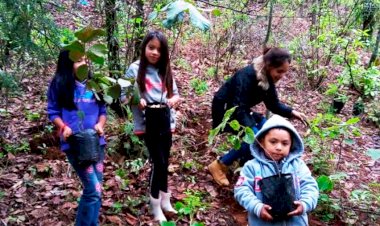 Implementa Antorcha labores de reforestación en San Simón el Alto