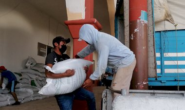 Subsidia alcaldesa de Tepexi insumos agrícolas