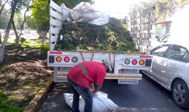 Impulsan conciencia ciudadana en el cuidado de áreas verdes