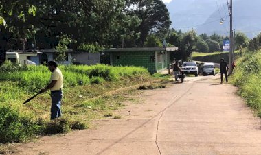 Colonos embellecen vías principales de su colonia