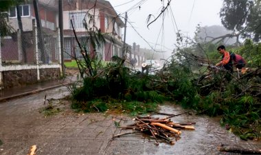 Los abandona Barbosa ante desastre natural