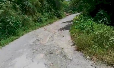 Gobiernos pasan y los caminos siguen en malas condiciones, denuncian en Tamazunchale