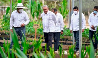 Todo para los “programas electoreros” para esclavizar al pueblo