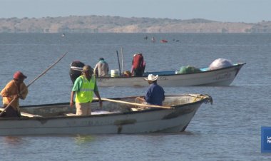 El sector pesquero de Huatabampo, en terapia intensiva