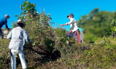 Antorchistas de Olintla realizan faena en la colonia “el durazno”