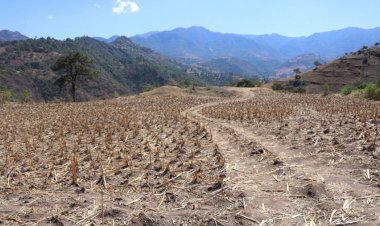 La cañada oaxaqueña en el olvido