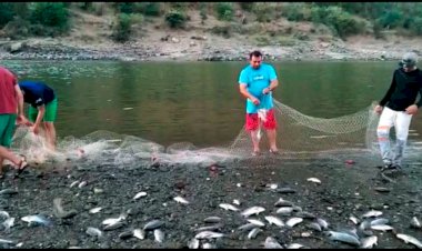 Alertan pescadores de Zirándaro escasez de mojarras en el río Balsas 