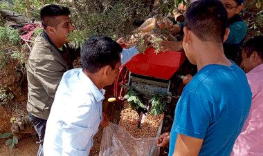 Pequeños productores de El Pinar reciben capacitación sobre procesos de café