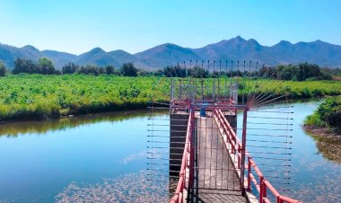 Presa La Calera deja sin agua a campesinos y ganaderos de Zirándaro