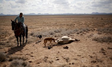 Sequías no son prioridad de la 4T