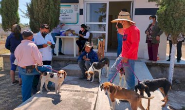 Por bienestar de poblanos realizan jornada de vacunación antirrábica en Cañada Morelos, Puebla