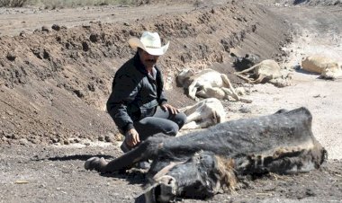 Gobierno federal deja sin apoyo a jaliscienses