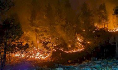 La Sierra Tarahumara se quema, y México sin FONDEN por culpa de AMLO