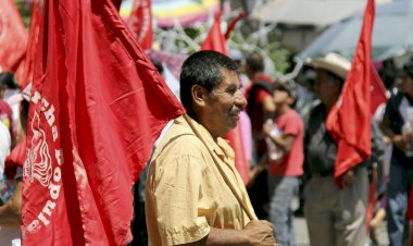 Tarea de hoy, educar y organizar