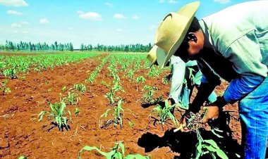 Campesinos en el abandono