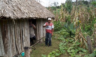 Pobreza golpea a campesinos carrilloportenses