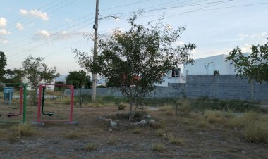 Urge rehabilitación de áreas verdes en Ciudad Victoria