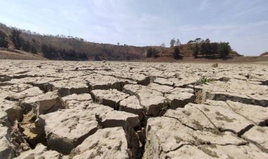 La difícil situación del campo