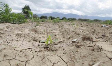 Sigue abandonado el sur de Nuevo León