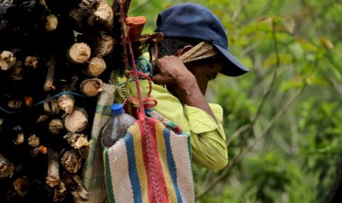 Simojovel llegó la hora de sumar fuerzas