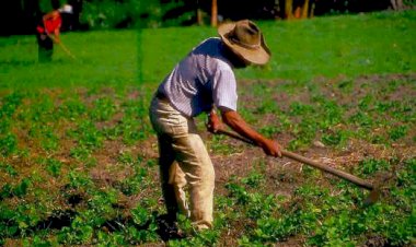 Inflación y explotación a jornaleros agrícolas en Chihuahua.