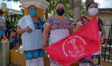 La mujer y la lucha social