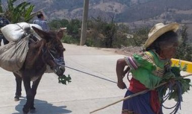 ¿Cómo abordar el problema de pobreza en Guerrero, el segundo estado más pobre de México?