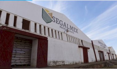 Segalmex, fraude y corrupción