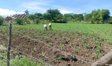 Agricultores demandan más apoyos para el campo