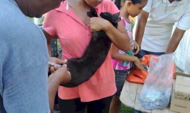 Antorchistas vacunan en su colonia a mascotas contra la rabia