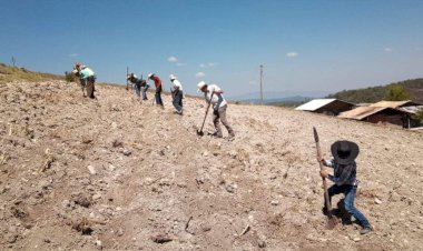 Morena le queda a deber a familias humildes de la Cuenca del Papaloapan