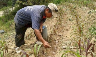 Los pobres del campo quintanarroense siguen en el abandono