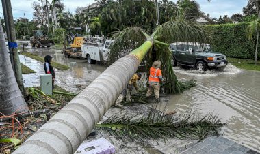 Tres semanas sin ayuda oficial y la devastación ambiental cimbran Acapulco, Guerrero