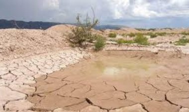 La sequía también afecta al territorio de Guanajuato